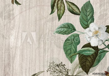Green floral background