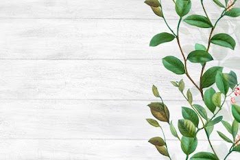 Green floral background | Free stock illustration - 595418