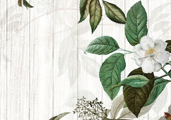 Green floral background | Free stock illustration - 595433