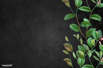 Green floral background | Free stock illustration - 595513