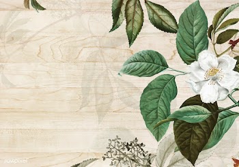 Green floral background | Free stock vector - 595436