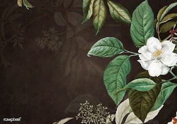 Green floral background | Free stock vector - 595440