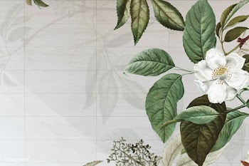 Green floral background | Free stock vector - 595445