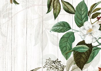 Green floral background | Free stock vector - 595458