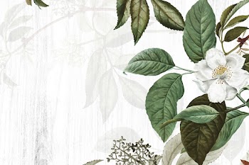Green floral background | Free stock vector - 595468