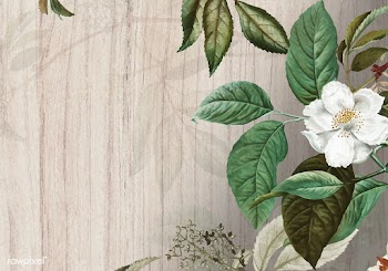 Green floral background | Free stock vector - 595471