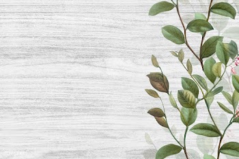 Green floral background | Free stock vector - 595484