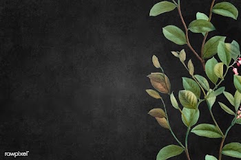 Green floral background | Free stock vector - 595488