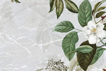 Green floral background | Free stock vector - 595514