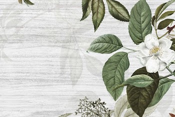 Green floral background | Free stock vector - 595520