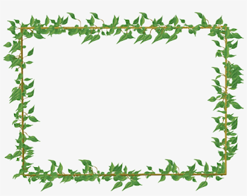 Green Floral Border Png Picture - Ivy Frame - Free Transparent PNG ...