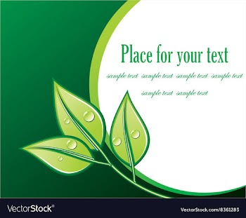 Green Floral Design with Text Space vector image
