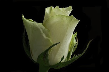 Green Flower