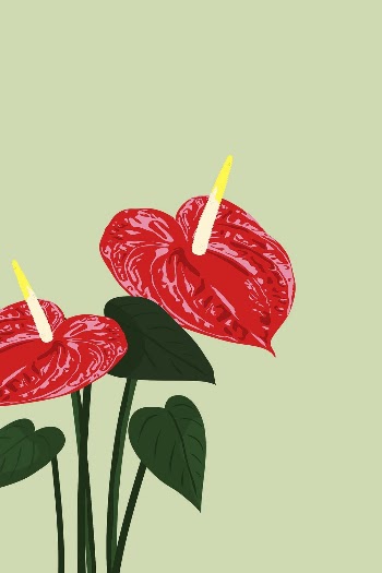 Green flower background, red anthurium, | Free Photo Illustration - rawpixel