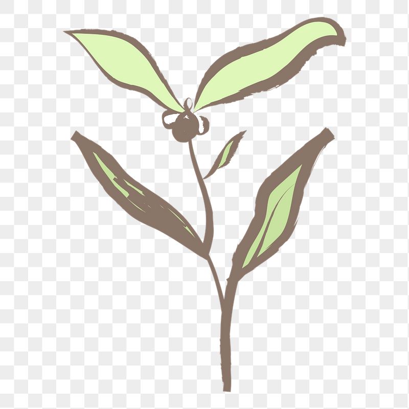 Green flower png sticker, pastel | Free PNG Illustration - rawpixel