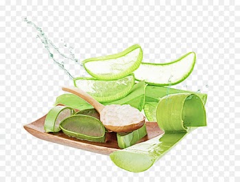 green food plant vegetarian food lime