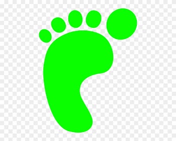 Green Footprint Clip Art At Clker - Life Cycle Key Words