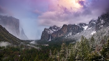 Green Forest Across Mountains