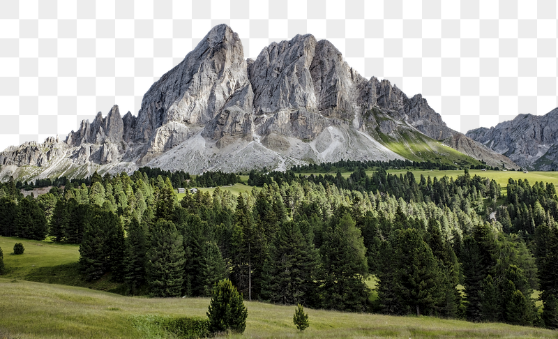 Green forest png border, nature | Free PNG - rawpixel