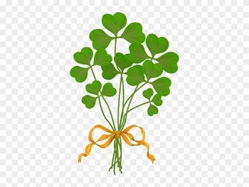 Green Four-leaf Clover Flower - Green Four-leaf Clover Flower