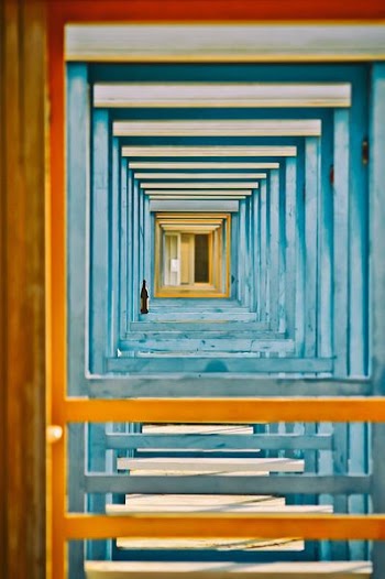 green frame photography