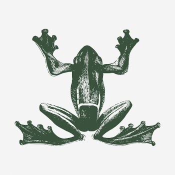 Green frog clipart, vintage animal | Free Photo - rawpixel