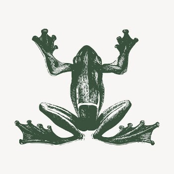Green frog clipart, vintage animal | Free Vector - rawpixel