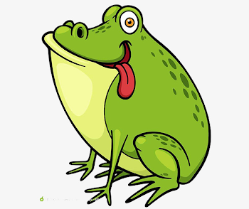 Green Frog, Frog Clipart, Green, Frog PNG Image and Clipart for Free ...