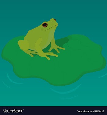 green frog on water lily leaf on pond