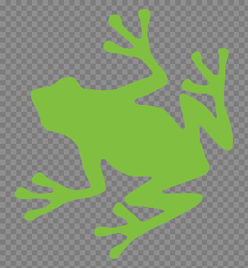 Green Frog Retina Graphic | GR2 Patterns (Biology) | Pinterest ...
