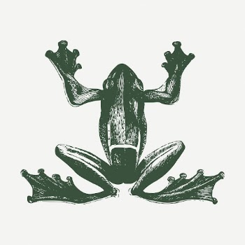 Green frog sticker, vintage animal | Free PSD - rawpixel