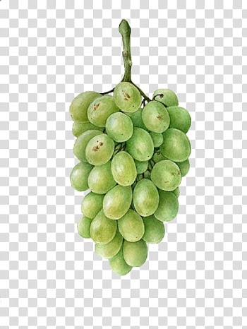 , green fruits illustration transparent background PNG clipart