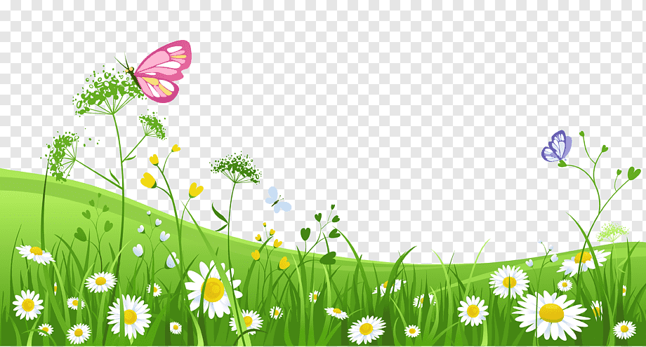 Green Garden s, leaf, computer Wallpaper, grass png
