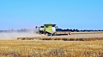 Green Gardening Truck