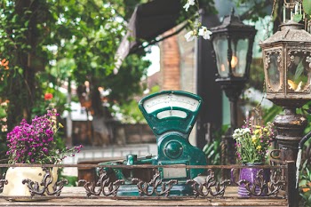 Green Gauge Near Lamps and Plants