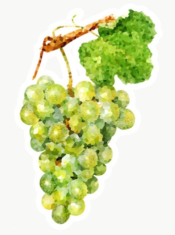 Green grapes crystallized style sticker overlay | Free  transparent png - 2341157