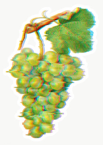 Green grapes with glitch effect sticker overlay | Free  transparent png - 2359148