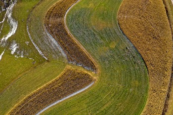 Green Grass