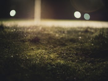 Green Grass