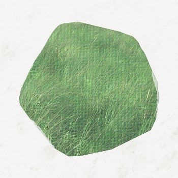 Green grass abstract shape, aesthetic | Free Photo - rawpixel