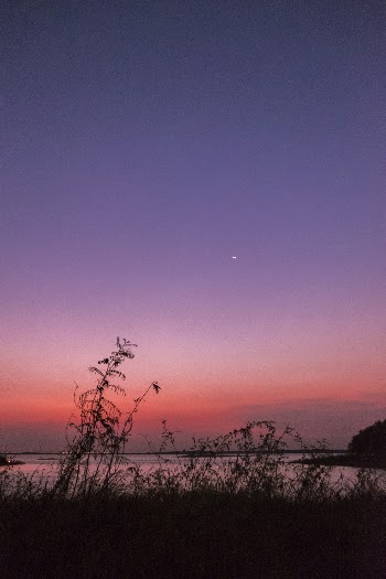 Green Grass Across Northern Star Photo