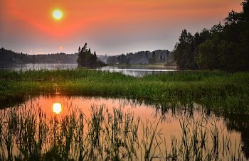 Green Grass Across the Lake