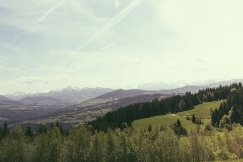 Green Grass Behind Brown Mountain Under White Sky