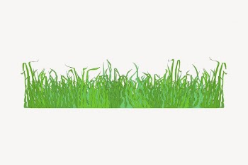 Green grass border clipart, nature | Free Vector - rawpixel
