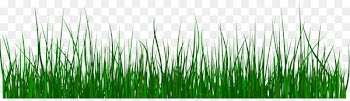 Green Grass Clip art - Green, fresh grass 