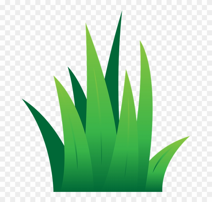 Green Grass Clip Art Lawn Green Grass Free Vector Graphic - Illustration