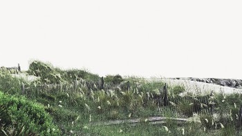 Green grass desktop wallpaper, nature | Free PSD - rawpixel