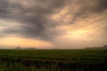 Green Grass during Golden Hour