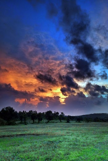 Green Grass during Sunrise