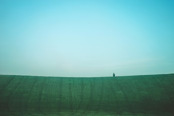 Green Grass Field